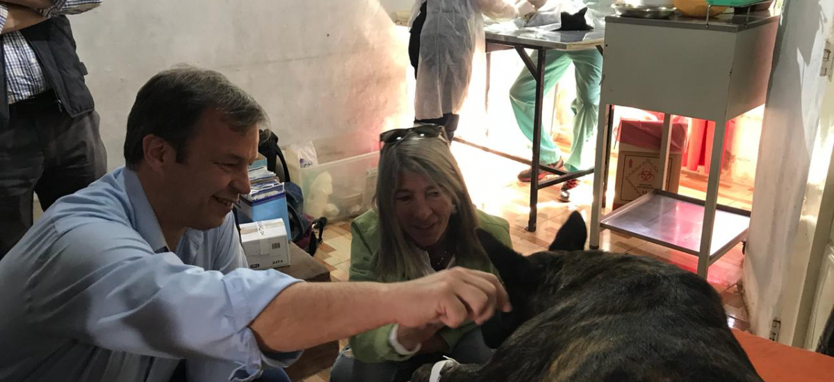 Cascallares supervisó operativo de castración gratuita de animales en Longchamps