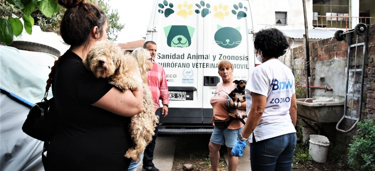 Zoonosis Brown rescató a 582 perros, gatos y aves de un criadero clandestino en Adroguè